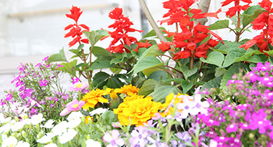 患者さまへのホスピタリティを忘れません