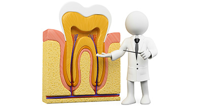 技術の向上と習得を目指し、常に学び続けます
